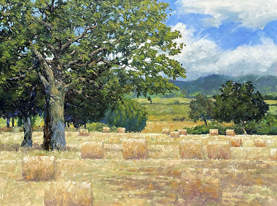 Paul Hooker landscapes, hay bailing, oil on canvas